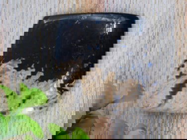 PETRIFIED PALM WOOD CABOCHON ROCK STONE LAPIDARY SPECIMEN