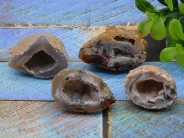 GEODE ROCK STONE LAPIDARY SPECIMEN