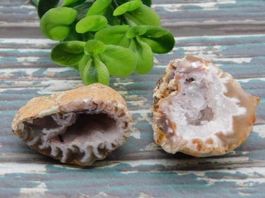 GEODE ROCK STONE LAPIDARY SPECIMEN