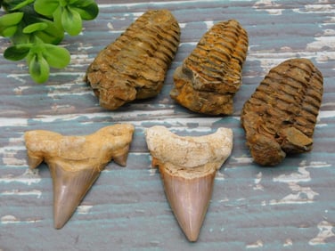 MIXED LOT ROCK STONE LAPIDARY SPECIMEN