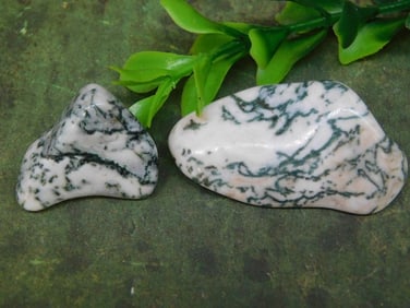 TREE AGATE ROCK STONE LAPIDARY SPECIMEN