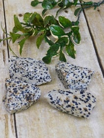 DALMATION JASPER ROCK STONE LAPIDARY SPECIMEN