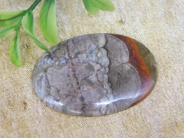 MUSHROOM RHYOLITE CABOCHON ROCK STONE LAPIDARY SPECIMEN