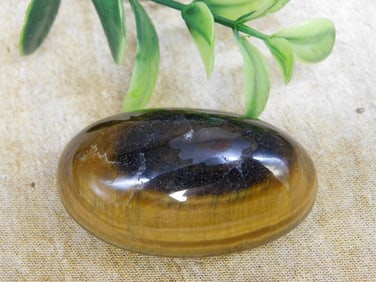 TIGER EYE CABOCHON ROCK STONE LAPIDARY SPECIMEN