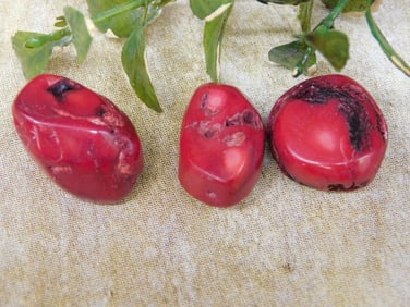RED CORAL ROCK STONE LAPIDARY SPECIMEN