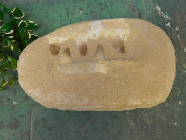 MOSASAUR FOSSIL ROCK STONE LAPIDARY SPECIMEN