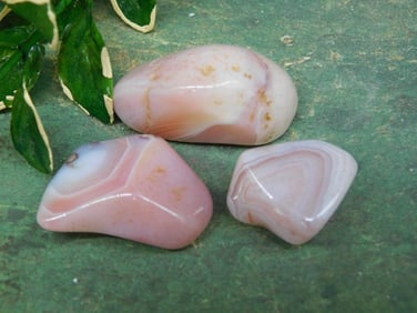 PEACH BOTSWANA AGATE ROCK STONE LAPIDARY SPECIMEN