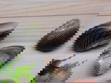 BRAZILIAN AGATE ROCK STONE LAPIDARY SPECIMEN