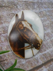 HORSE CABOCHON ROCK STONE LAPIDARY SPECIMEN
