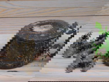 ORTHOCERAS TRINKET BOX ROCK STONE LAPIDARY SPECIMEN