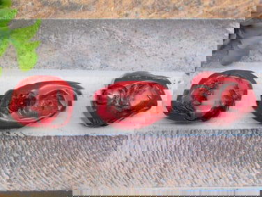 RED CORAL ROCK STONE LAPIDARY SPECIMEN