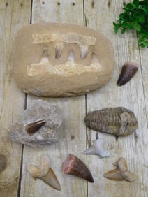 MIXED LOT ROCK STONE LAPIDARY SPECIMEN