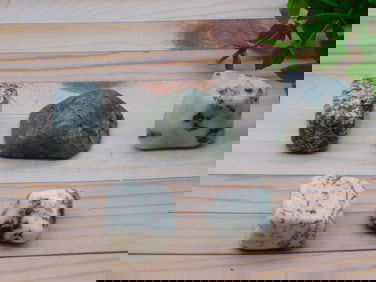 TREE AGATE ROCK STONE LAPIDARY SPECIMEN