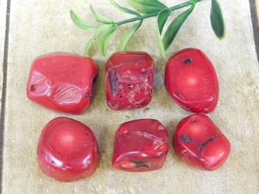 RED CORAL ROCK STONE LAPIDARY SPECIMEN