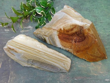 JASPER ROCK STONE LAPIDARY SPECIMEN