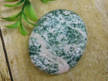 TREE AGATE WORRY STONE ROCK STONE LAPIDARY SPECIMEN