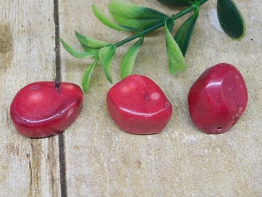RED CORAL ROCK STONE LAPIDARY SPECIMEN