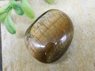 TIGER EYE ROCK STONE LAPIDARY SPECIMEN