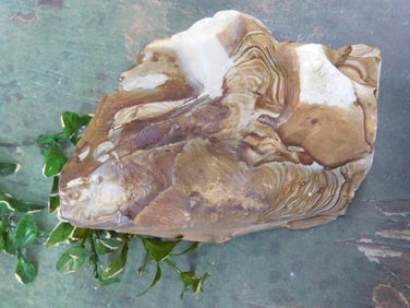 JASPER ROCK STONE LAPIDARY SPECIMEN