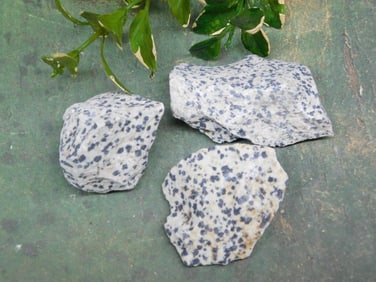 DALMATION JASPER ROCK STONE LAPIDARY SPECIMEN