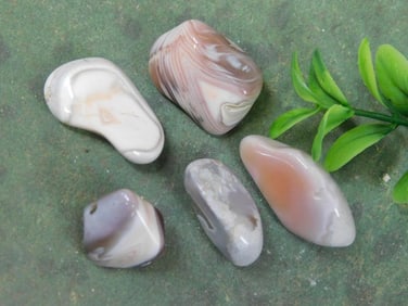 PEACH BOTSWANA AGATE ROCK STONE LAPIDARY SPECIMEN