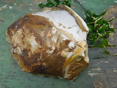 JASPER ROCK STONE LAPIDARY SPECIMEN