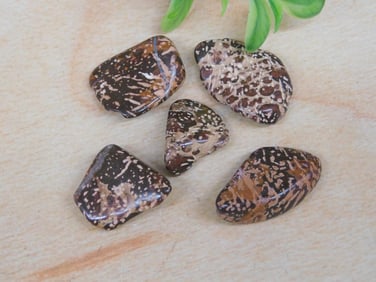 STARBURST JASPER ROCK STONE LAPIDARY SPECIMEN