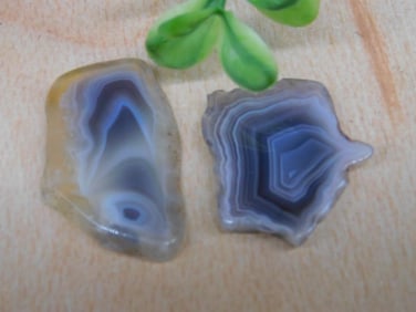 BOTSWANA AGATE ROCK STONE LAPIDARY SPECIMEN