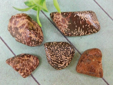 STARBURST JASPER ROCK STONE LAPIDARY SPECIMEN