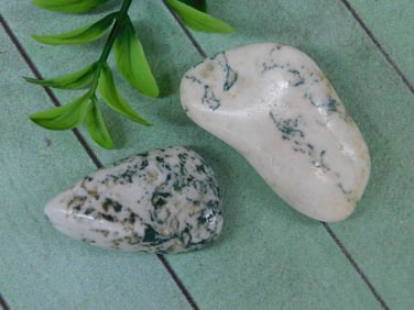 TREE AGATE ROCK STONE LAPIDARY SPECIMEN
