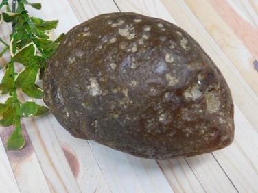 BRAZILIAN AGATE ROCK STONE LAPIDARY SPECIMEN