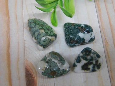 CAMOFLAUGE AGATE ROCK STONE LAPIDARY SPECIMEN