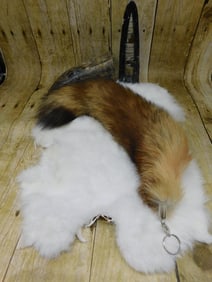 MIXED TAXIDERMY LOT ROCK STONE LAPIDARY SPECIMEN