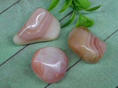 PEACH BOTSWANA AGATE ROCK STONE LAPIDARY SPECIMEN