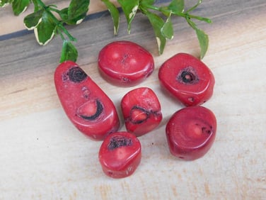 RED CORAL ROCK STONE LAPIDARY SPECIMEN