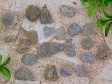 ELLENSBURG AGATE ROCK STONE LAPIDARY SPECIMEN