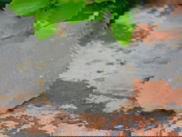 QUARTZ ROCK STONE LAPIDARY SPECIMEN