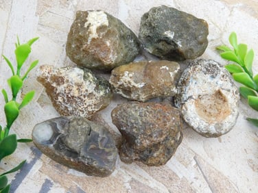 MIXED LOT ROCK STONE LAPIDARY SPECIMEN