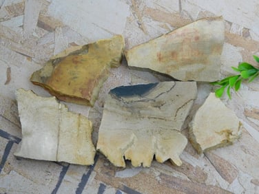 PETRIFIED WOOD SLAB PIECES ROCK STONE LAPIDARY SPECIMEN