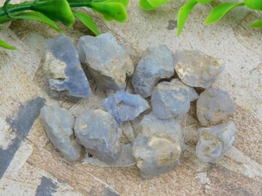 ELLENSBURG AGATE ROCK STONE LAPIDARY SPECIMEN