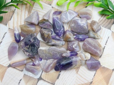 ROYAL AZTEC LACE ROCK STONE LAPIDARY SPECIMEN