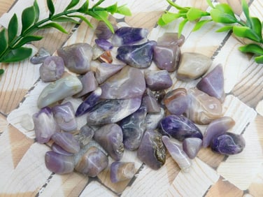 ROYAL AZTEC LACE ROCK STONE LAPIDARY SPECIMEN