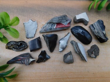 FORDITE MOTOR CITY AGATE ROCK STONE LAPIDARY SPECIMEN