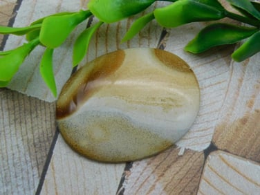 JASPER CABOCHON ROCK STONE LAPIDARY SPECIMEN