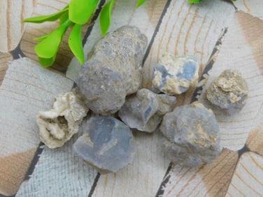 ELLENSBURG AGATE ROCK STONE LAPIDARY SPECIMEN