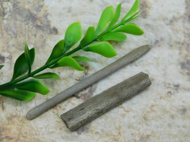 HADROSAUR TENDON FOSSIL ROCK STONE LAPIDARY SPECIMEN