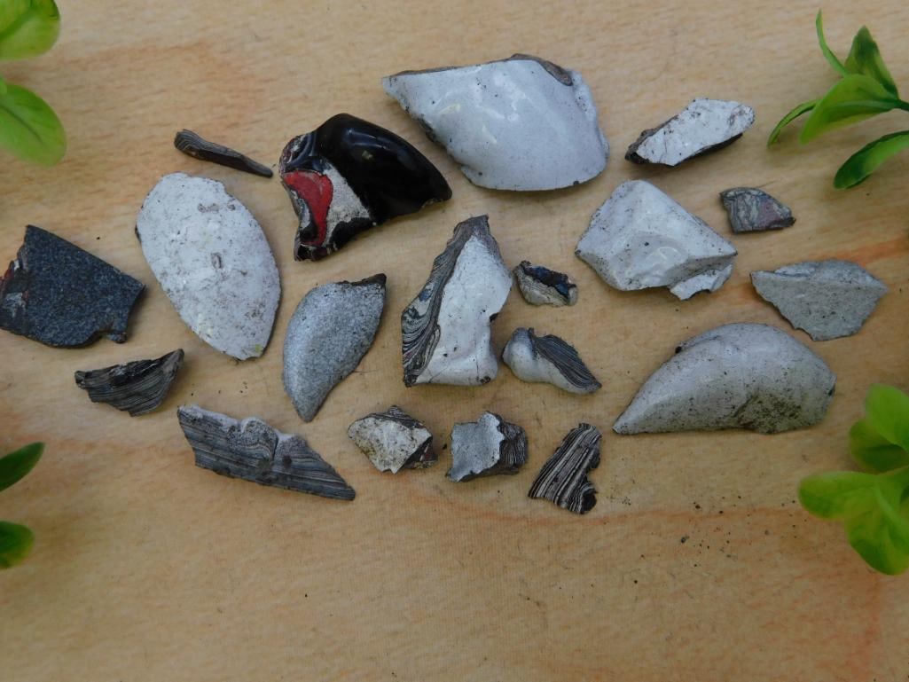 FORDITE MOTOR CITY AGATE ROCK STONE LAPIDARY SPECIMEN: FORDITE MOTOR CITY AGATE ROCK STONE LAPIDARY SPECIMEN