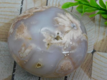 HATMANS FLOWER PETAL AGATE ROCK STONE LAPIDARY SPECIMEN