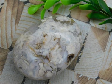 HATMANS FLOWER PETAL AGATE ROCK STONE LAPIDARY SPECIMEN