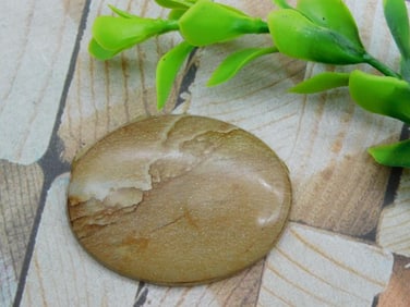 JASPER CABOCHON ROCK STONE LAPIDARY SPECIMEN